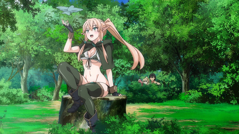 異世界来たのでスケベスキルで全力謳歌しようと思う THE ANIMATION 第2巻【JDXA-57704】の画像3